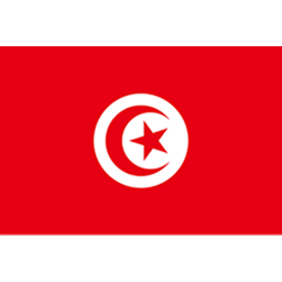 突尼斯女足